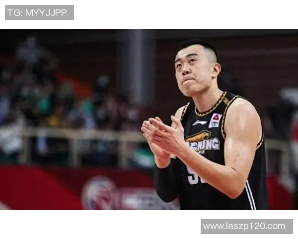 韩德君:从CBA巨星到国家队核心的成长之路与未来展望 韩德君:从CBA巨星到国家队核心的成长之路与未来展望